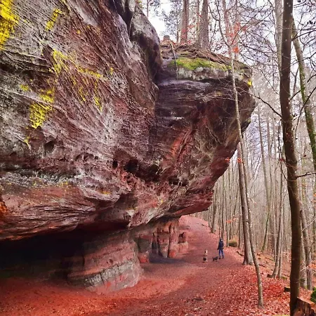 Wald-ferienhaus Nicole - Mitten Im Grunen