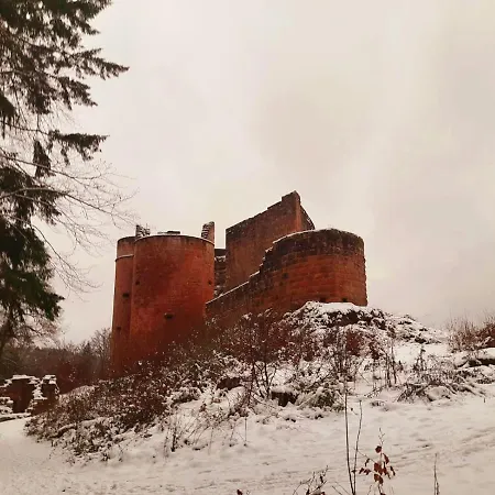Semesterbostad Wald-ferienhaus Nicole - Mitten Im Grunen