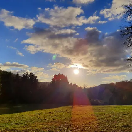 Semesterbostad Wald-ferienhaus Nicole - Mitten Im Grunen Eppenbrunn