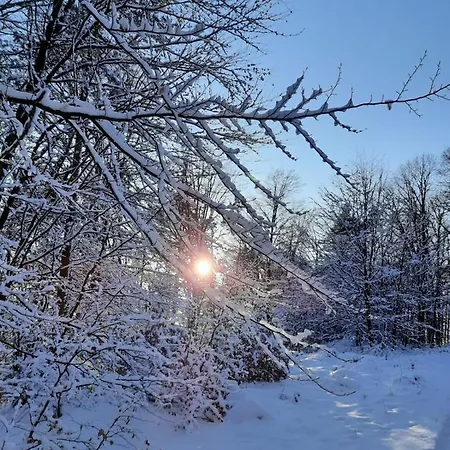 Semesterbostad Wald-ferienhaus Nicole - Mitten Im Grunen