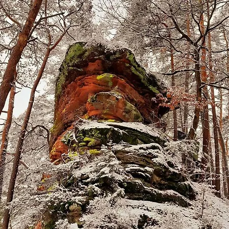 Wald-ferienhaus Nicole - Mitten Im Grunen Semesterbostad