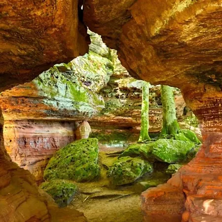 Semesterbostad Wald-ferienhaus Nicole - Mitten Im Grunen