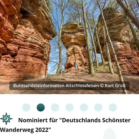 Wald-ferienhaus Nicole - Mitten Im Grunen Semesterbostad