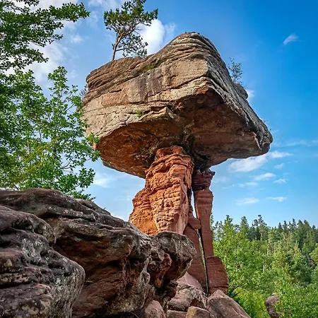 Wald-ferienhaus Nicole - Mitten Im Grunen Semesterbostad